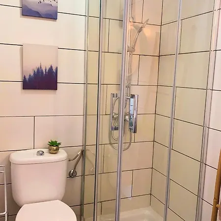 Hibiscus * Corralejo